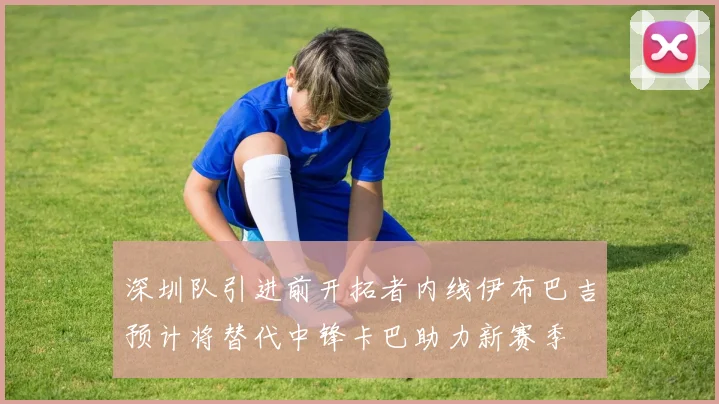深圳队引进前开拓者内线伊布巴吉预计将替代中锋卡巴助力新赛季