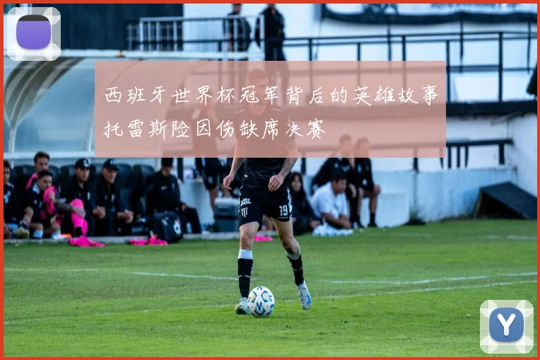 西班牙世界杯冠军背后的英雄故事托雷斯险因伤缺席决赛