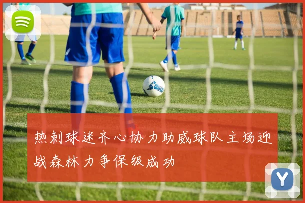 热刺球迷齐心协力助威球队主场迎战森林力争保级成功