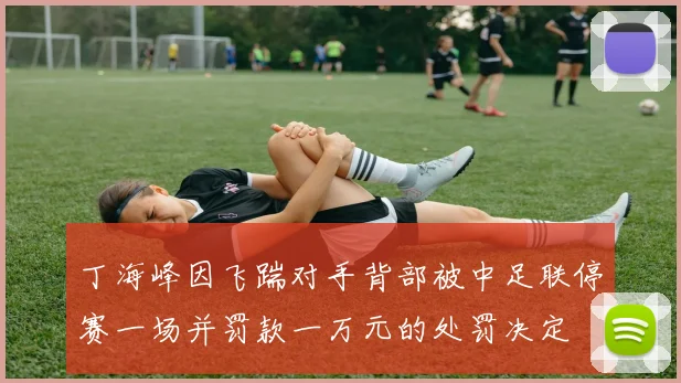 丁海峰因飞踹对手背部被中足联停赛一场并罚款一万元的处罚决定