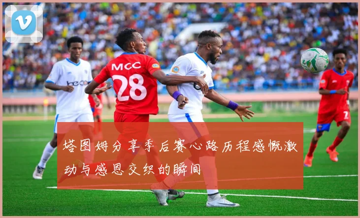 塔图姆分享季后赛心路历程感慨激动与感恩交织的瞬间